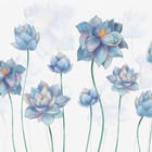 Miniatura fototapety Kwiaty lotosu na jasnym tle