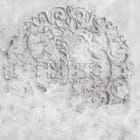 Miniatura fototapety Ornamenty roślinne na ścianie