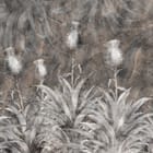 Miniatura fototapety Kwiatowe Murale z Dużymi Liśćmi