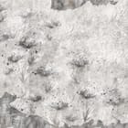 Miniatura fototapety Abstrakcyjne wzory z roślinami