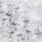 Miniatura fototapety Abstrakcyjne Kwiaty na Betonie