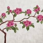 Miniatura fototapety Gałąź z różowymi magnoliami