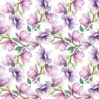 Miniatura fototapety Magnolie na białym tle