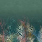 Miniatura fototapety Kolorowe pióra na zielonym tle