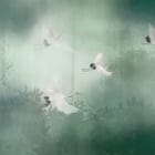 Miniatura fototapety Żurawie w locie nad zielonym lasem