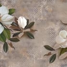 Miniatura fototapety Magnolie na beżowym tle