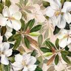 Miniatura fototapety Magnolie na jasnym tle