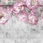 Miniatura fototapety Różowe Piwonie na Szarym Tle