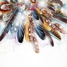 Miniatura fototapety Kolorowe pióra w artystycznym układzie