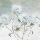 Miniatura fototapety Delikatne białe piwonie na tle