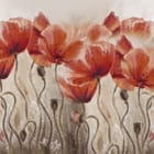 Miniatura fototapety Czerwone maki na jasnym tle