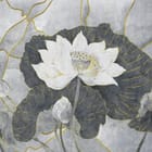 Miniatura fototapety Biały kwiat lotosu i ciemne liście