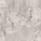 Miniatura fototapety Białe Piwonie na Teksturowanym Tle