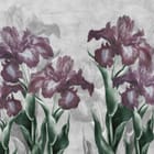 Miniatura fototapety Egzotyczne irysy na szarym tle