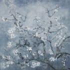 Miniatura fototapety Gałęzie drzewa z kwiatami