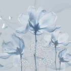 Miniatura fototapety Niebieskie maki na jasnym tle