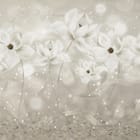 Miniatura fototapety Białe kwiaty na tle bokeh