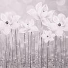 Miniatura fototapety Polne Kwiaty na Długich Łodygach