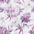 Miniatura fototapety Fioletowe piwonie na białym tle