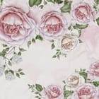 Miniatura fototapety Róże na jasnoróżowym tle