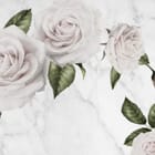 Miniatura fototapety Eleganckie białe róże z liśćmi