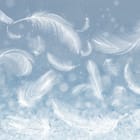 Miniatura fototapety Unoszące się białe pióra