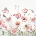 Miniatura fototapety Kolorowe maki na białym tle