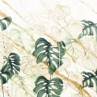 Miniatura fototapety Liście monstery na marmurze