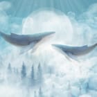 Miniatura fototapety Wieloryby w chmurach