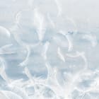 Miniatura fototapety Unoszące się białe pióra