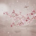 Miniatura fototapety Sakura i Góry nad Wodą