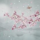 Miniatura fototapety Gałąź Wiśni nad Jeziorem