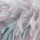 Miniatura fototapety Delikatne pióra w pastelach