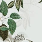 Miniatura fototapety Białe kwiaty i zielone liście