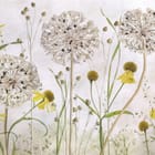 Miniatura fototapety Kwiaty polne z dmuchawcami