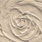 Miniatura fototapety Abstrakcyjny wzór róży