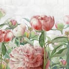 Miniatura fototapety Kwiaty piwonii w odcieniach różu