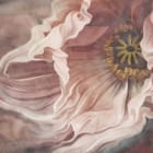 Miniatura fototapety Abstrakcyjne Tulipany z Falującymi Liniami