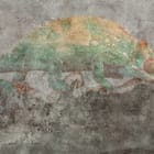 Miniatura fototapety Kameleon na Gałęzi w Lesie