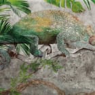 Miniatura fototapety Kameleon na gałęzi w dżungli