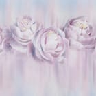 Miniatura fototapety Delikatne Piwonie w Pastelach