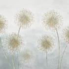 Miniatura fototapety Dmuchawce na tle nieba