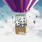 Miniatura fototapety Pandy w Balonie na Ogrzane Powietrze
