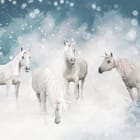 Miniatura fototapety Jednorożce na chmurach