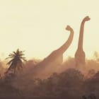 Miniatura fototapety Dinozaury w leśnej scenerii