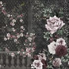 Miniatura fototapety Kwiaty róż na ciemnym tle