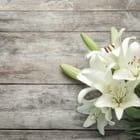 Miniatura fototapety Bukiet białych lilii na desce