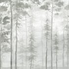 Miniatura fototapety Spokojny Las z Wysokimi Drzewami