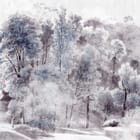 Miniatura fototapety Zimowy las z mgłą i wzgórzami