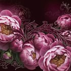 Miniatura fototapety Różowe piwonie na ciemnym tle